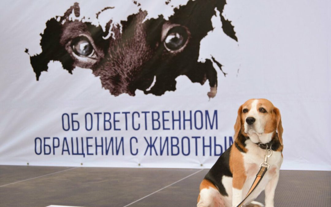 Принят закон, регулирующий отношения по обращению с животными от 01.04.2024 № 361-З «Об ответственном обращении с животными»