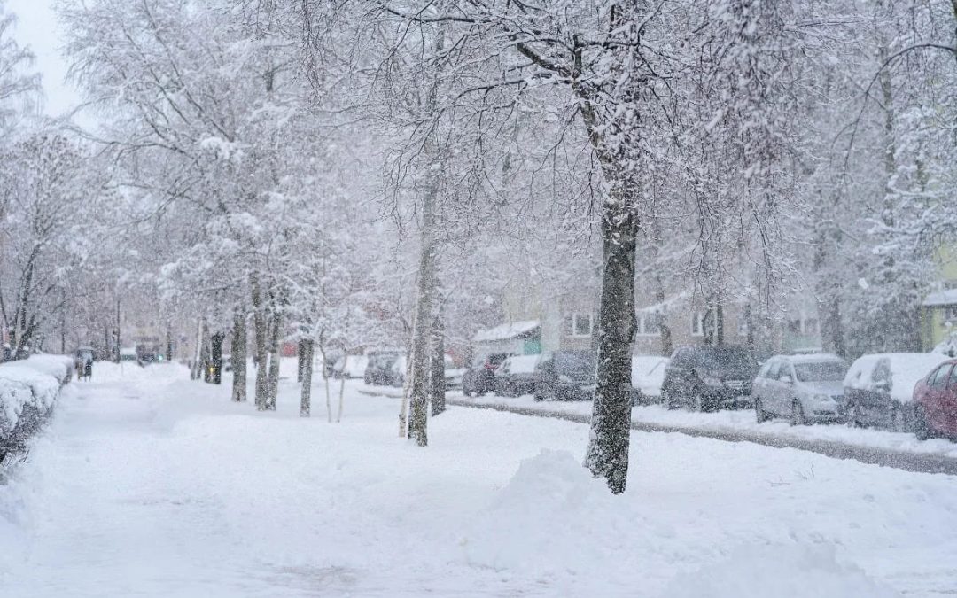 С вечера прошлого дня снова заметает