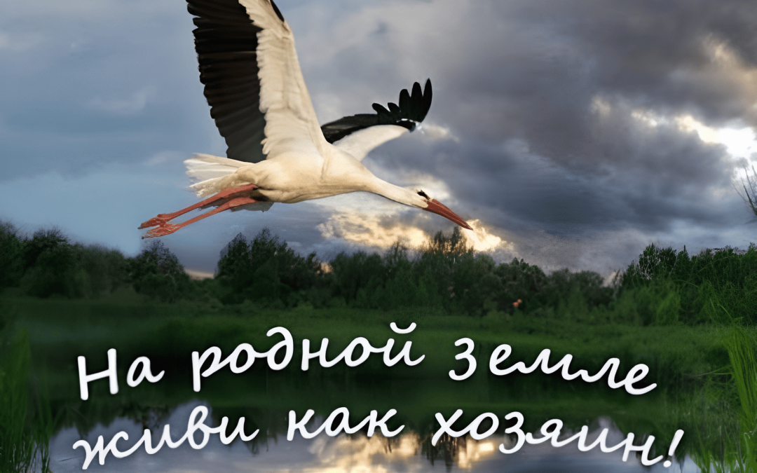 Инициатива по наведению порядка #НаРоднойЗемлеЖивиКакХозяин!